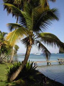 St. Lucia  dorthin, wo die Natur in voller Pracht zu Hause ist vom Rundreise Spezialisten